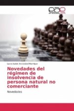 Novedades del régimen de insolvencia de persona natural no comerciante