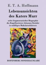 Lebensansichten des Katers Murr