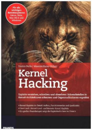 Kernel Hacking