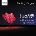 How Fair Thou Art - Hohelied-Vertonungen, 1 Audio-CD