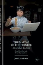 Making of the Chinese Middle Class