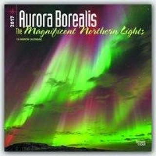Aurora Borealis Northern Lights 2017