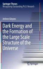 Dark Energy and the Formation of the Large Scale Structure of the Universe