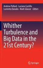 Whither Turbulence and Big Data in the 21st Century?