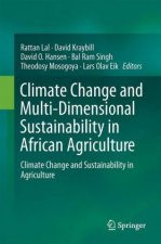 Climate Change and Multi-Dimensional Sustainability in African Agriculture