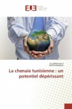 La chenaie tunisienne : un potentiel dépérissant