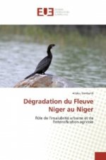 Dégradation du Fleuve Niger au Niger