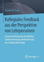 Kollegiales Feedback Aus Der Perspektive Von Lehrpersonen