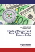 Effects of Monetary and Fiscal Policy Shocks on Business Cycles
