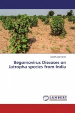 Begomovirus Diseases on Jatropha species from India