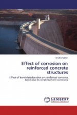 Effect of corrosion on reinforced concrete structures