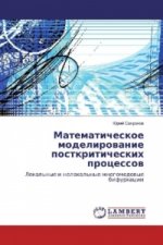 Matematicheskoe modelirovanie postkriticheskih processov