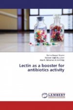 Lectin as a booster for antibiotics activity