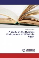 Study on the Business Environment of MSMEs in Egypt