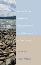 Faktoren fur das Gelingen von Pflegeverhaltnissen und des UEbergangs ins Erwachsensein