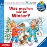 Was machen wir im Winter?, Audio-CD