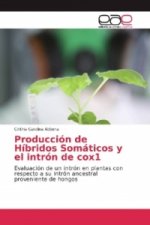 Producción de Híbridos Somáticos y el intrón de cox1