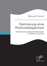 Optimierung eines Photovoltaikspeichers. Vergleich diverser Operationsstrategien zur Kostenminimierung