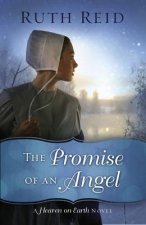 Promise of an Angel