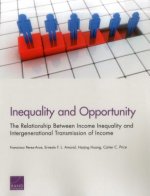 Inequality and Opportunity