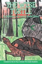 Wise Turtle