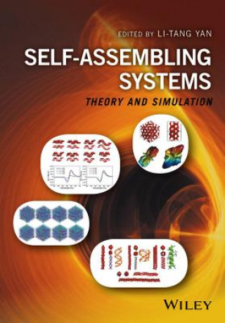 Self-Assembling Systems - Theory and Simulation