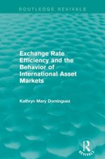 Exchange Rate Efficiency and the Behaviour of International Asset Markets (Routledge Revivals)