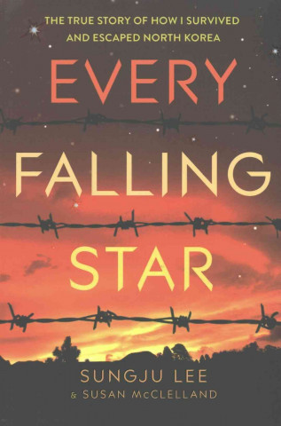 Every Falling Star (UK edition)
