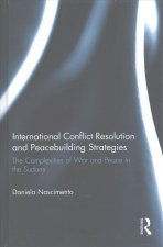 International Conflict Resolution and Peacebuilding Strategies