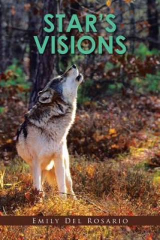 Star's Visions