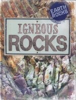 Igneous Rocks
