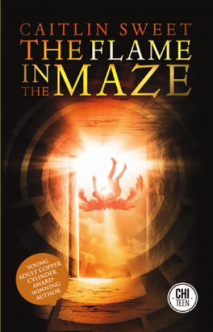 Flame in the Maze
