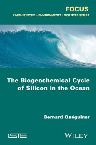 Biogeochemical Cycle of Silicon in the Ocean