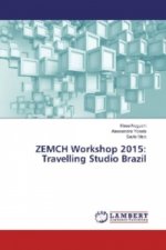 ZEMCH Workshop 2015: Travelling Studio Brazil