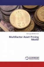 Multifactor Asset Pricing Model