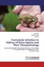 Trematode Infection in Kidney of Rana tigrina and Their Histopathology