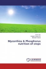 Mycorrhiza & Phosphorus nutrition of crops