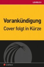 Fallbeispiele zur Bilanzierung