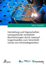 Herstellung und Eigenschaften nanopartikulär verstärkter Beschichtungen durch Laserauftragschweißen zum Verschleißschutz von Schmiedegesenken
