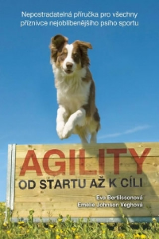 Agility Od startu až k cíli