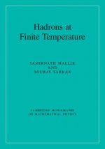 Hadrons at Finite Temperature