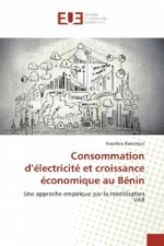 Consommation d'électricité et croissance économique au Bénin