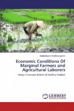 Economic Conditions Of Marginal Farmers and Agricultural Laborers