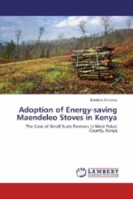 Adoption of Energy-saving Maendeleo Stoves in Kenya
