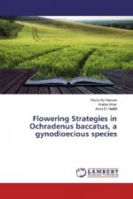 Flowering Strategies in Ochradenus baccatus, a gynodioecious species