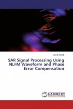 SAR Signal Processing Using NLFM Waveform and Phase Error Compensation