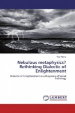 Nebulous metaphysics? Rethinking Dialectic of Enlightenment