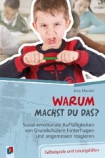 Warum machst du das? Sozial-emotionale Auffälligkeiten von Grundschülern hinterfragen und angemessen reagieren