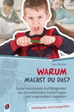 Warum machst du das? Sozial-emotionale Auffälligkeiten von Grundschülern hinterfragen und angemessen reagieren