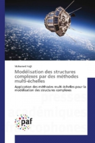 Modélisation des structures complexes par des méthodes multi-échelles